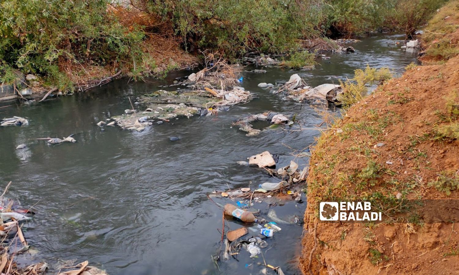 The Jaqjaq River, which runs through the northeastern city of Qamishli, was polluted by sewage water - March 20, 2023 (Enab Baladi/Majd al-Salem)