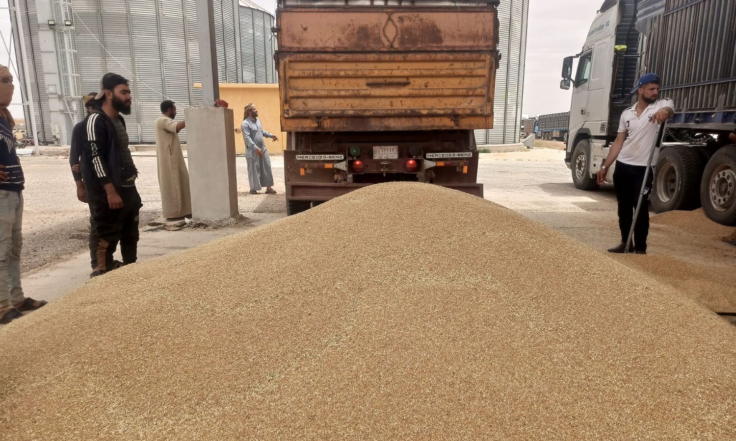 Delivery of the wheat crop from the farmers to the Grain Center in the northeastern city of Raqqa - May 31, 2023 (Facebook/Agricultural Media in Syria)