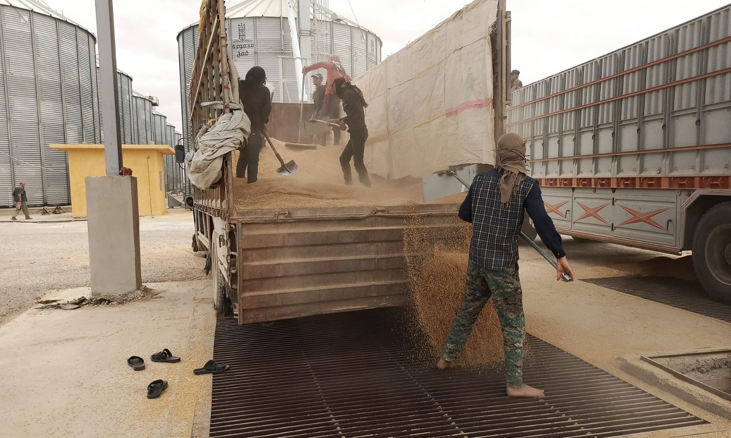Delivery of the wheat crop from the farmers to the Grain Center in the northeastern city of Raqqa - May 31, 2023 (Facebook/Agricultural Media in Syria)