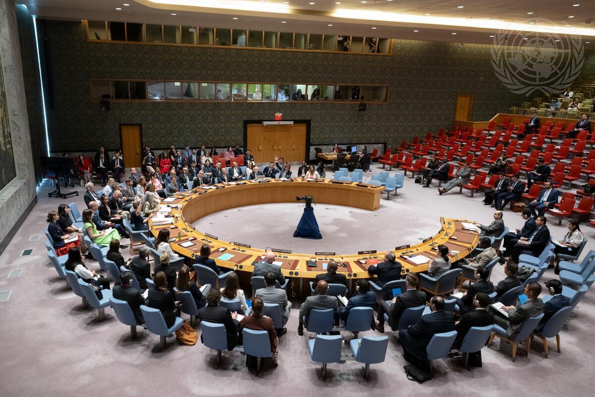 The UN Security Council meets on the situation in Syria - July 11, 2023 (UN)