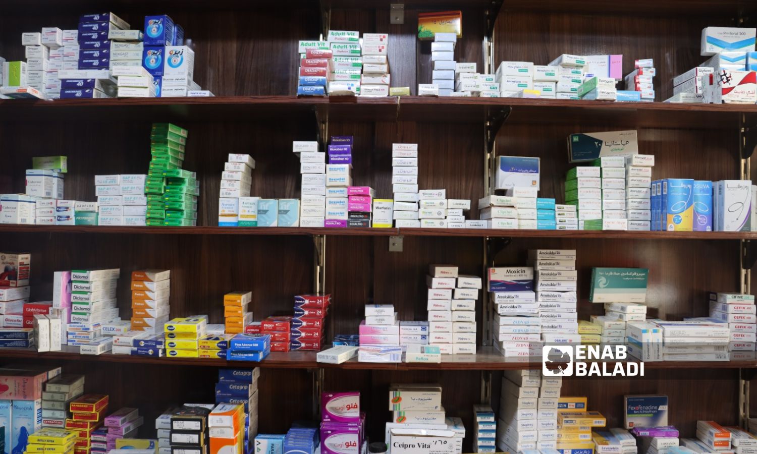 A pharmacy in the city of Qamishli, northeastern Syria - July 11, 2023 (Enab Baladi/Rita Ahmed)