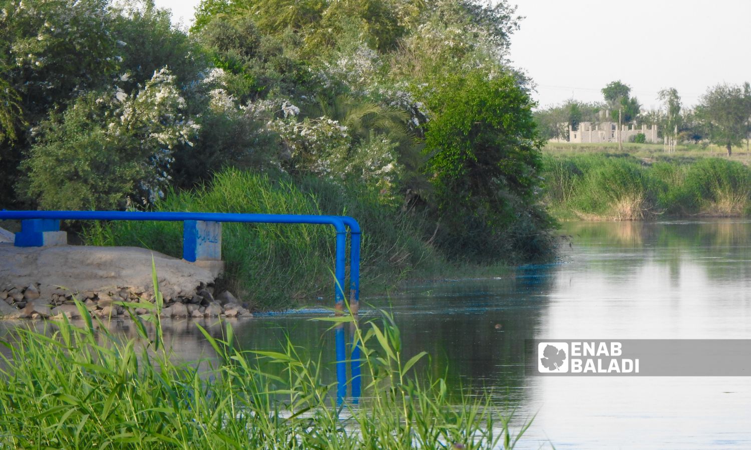 The project of laying watering pipes from the Euphrates River in the town of al-Kashkiyeh in al-Shaitat region in the eastern Deir Ezzor governorate - May 2023 (Enab Baladi)