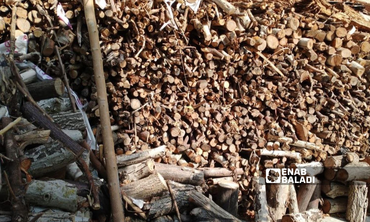 A family’s stock of firewood in the village of Bahlouliya in the countryside of Latakia city - September 2023 (Enab Baladi/Linda Ali)