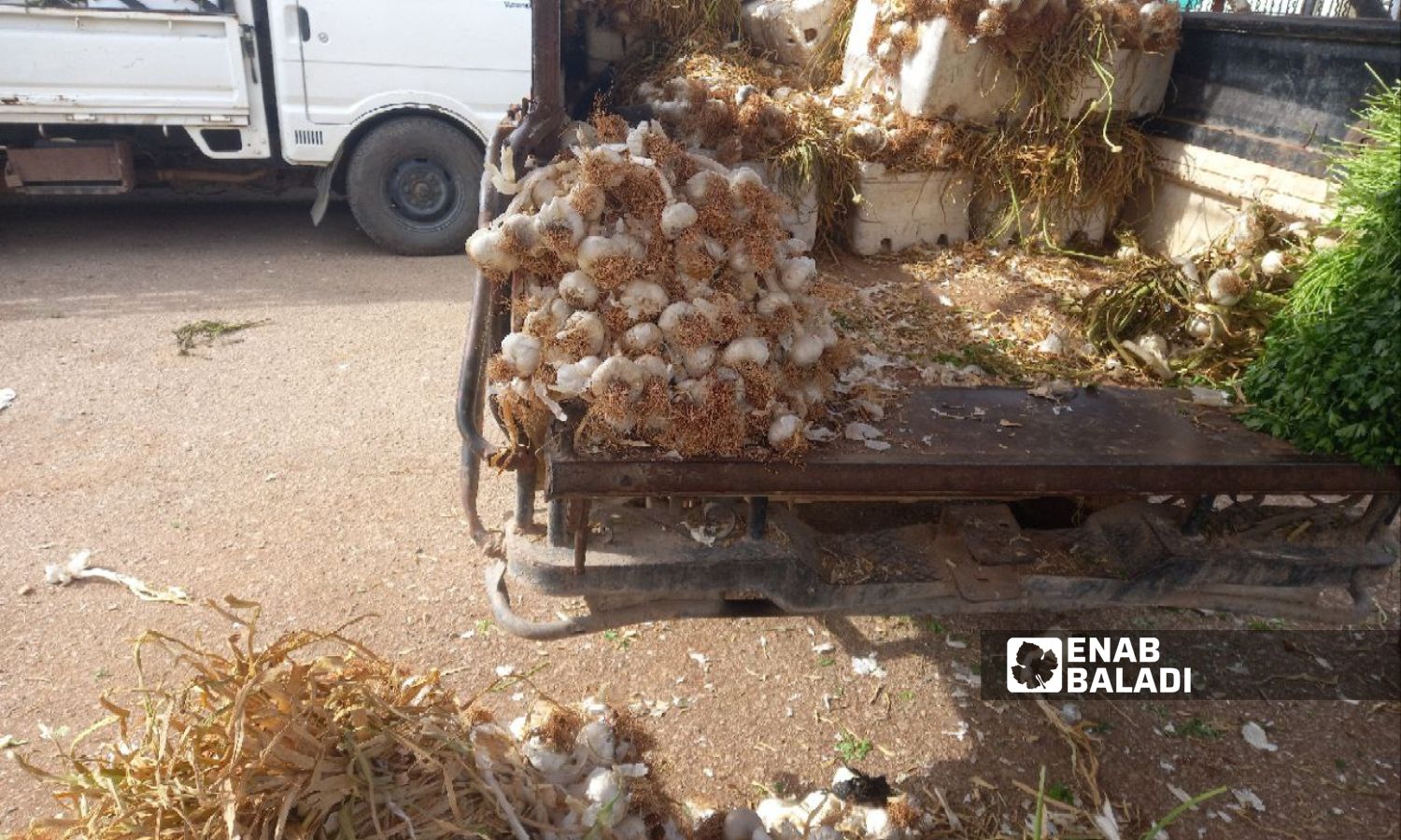 Selling the garlic crop in the al-Hal market (the central vegetable market) in the town of Tafas in the Daraa countryside - May 26, 2023 (Enab Baladi/Halim Muhammad)