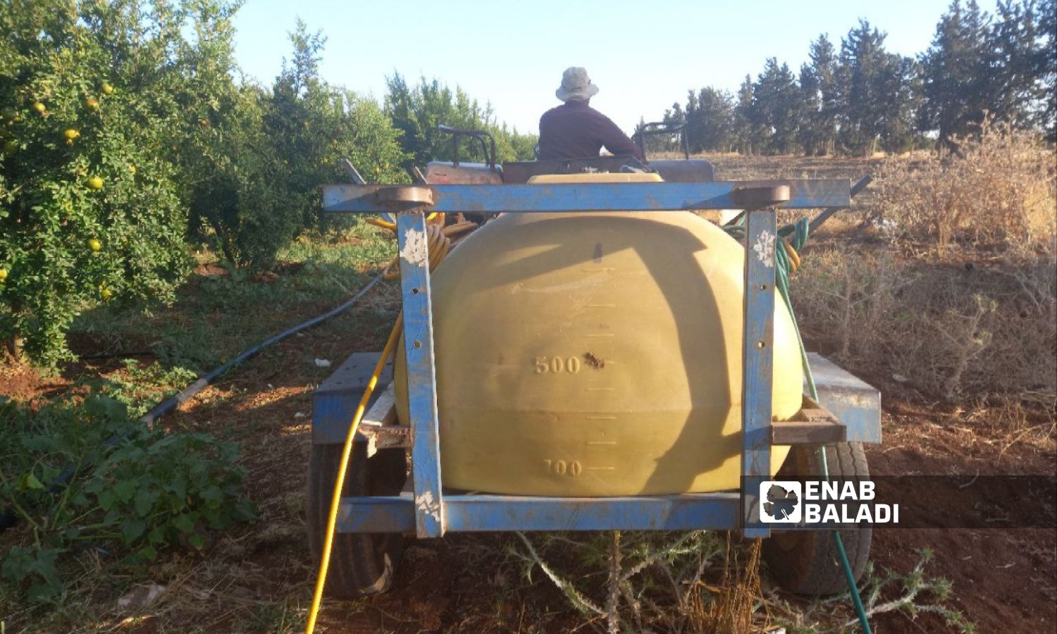 A tractor sprays agricultural medicines in the western countryside of Daraa - July 25, 2023 (Enab Baladi/Halim Muhammad)