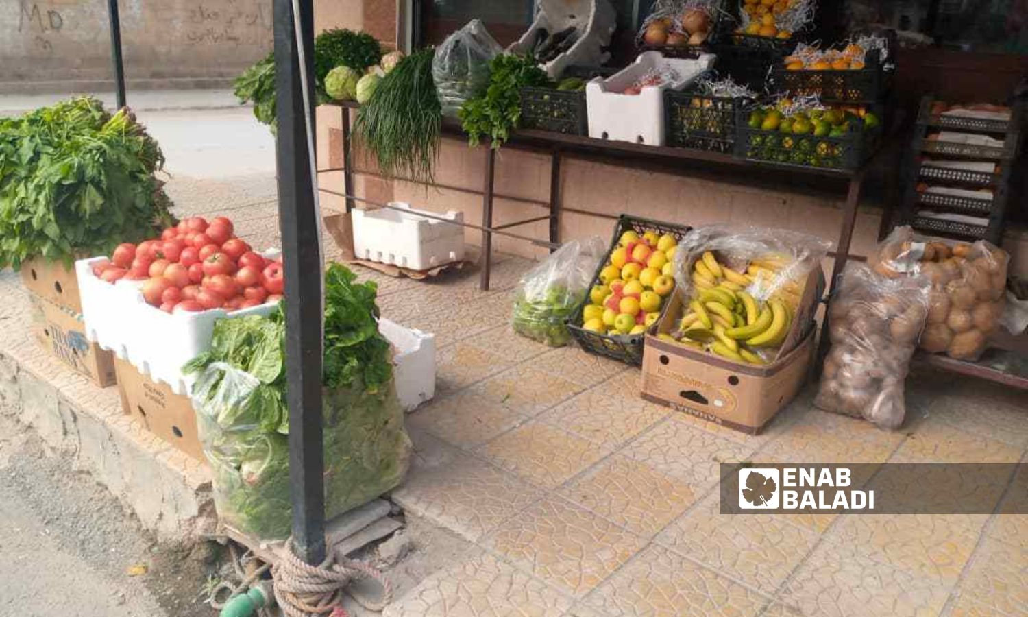 A vegetable store on Amuda Street in the city of Qamishli, east of al-Hasakah - November 5, 2023 (Enab Baladi/Rita al-Ahmad)