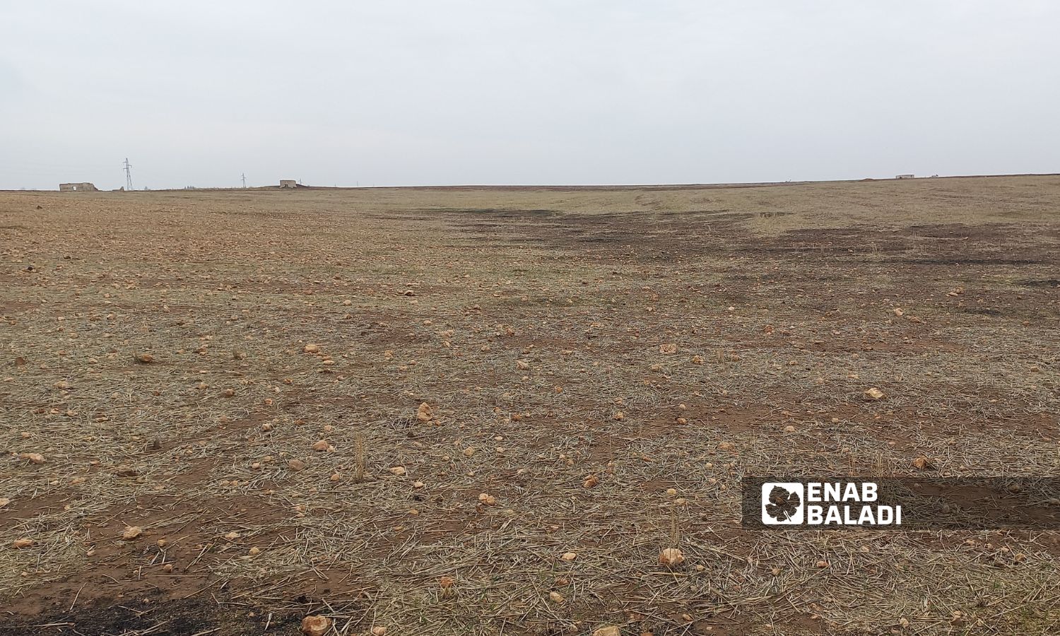 Agricultural land facing desertification due to the recession of groundwater in the village of Abu Jaloud, in the countryside of Ras al-Ain - December 7, 2023 (Enab Baladi)