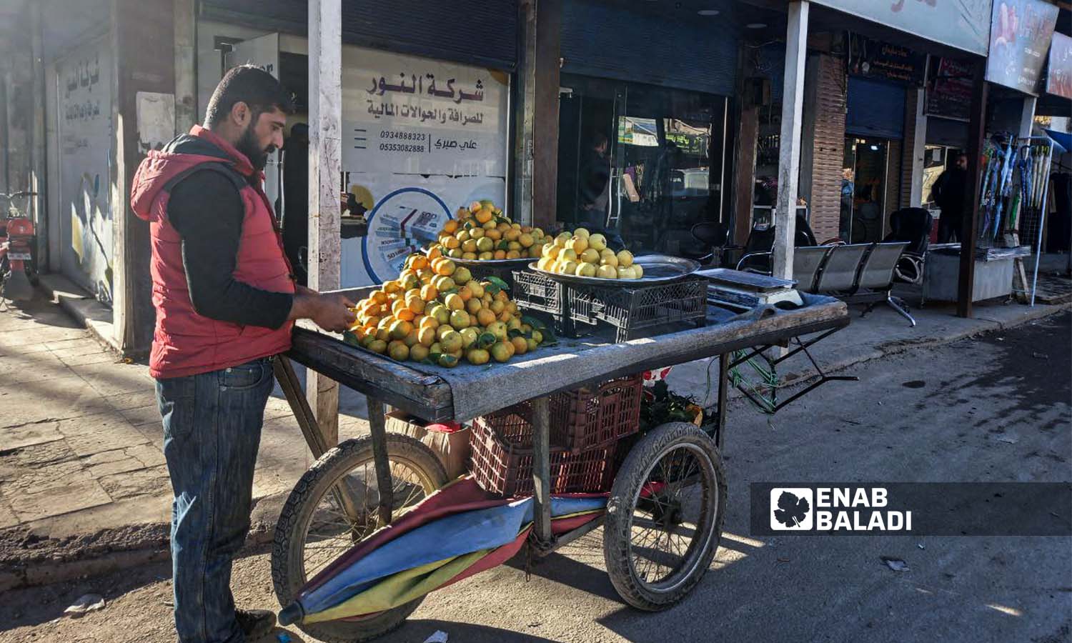 A street vendor selling fruits in Qamishli city - December 1, 2023 (Enab Baladi/Rita al-Ahmad)
