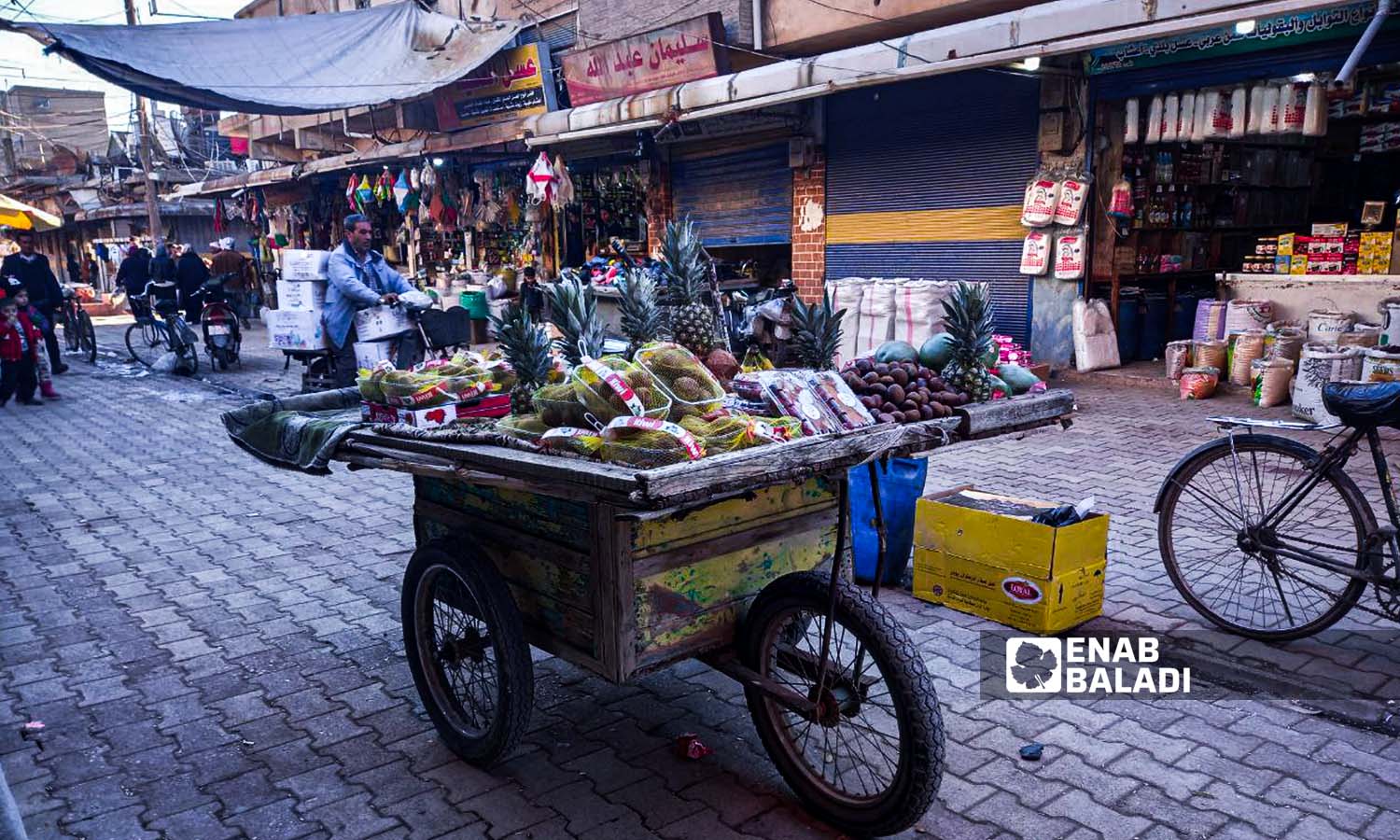 Fruit vending cart in Qamishli city - December 1, 2023 (Enab Baladi/Rita al-Ahmad)
