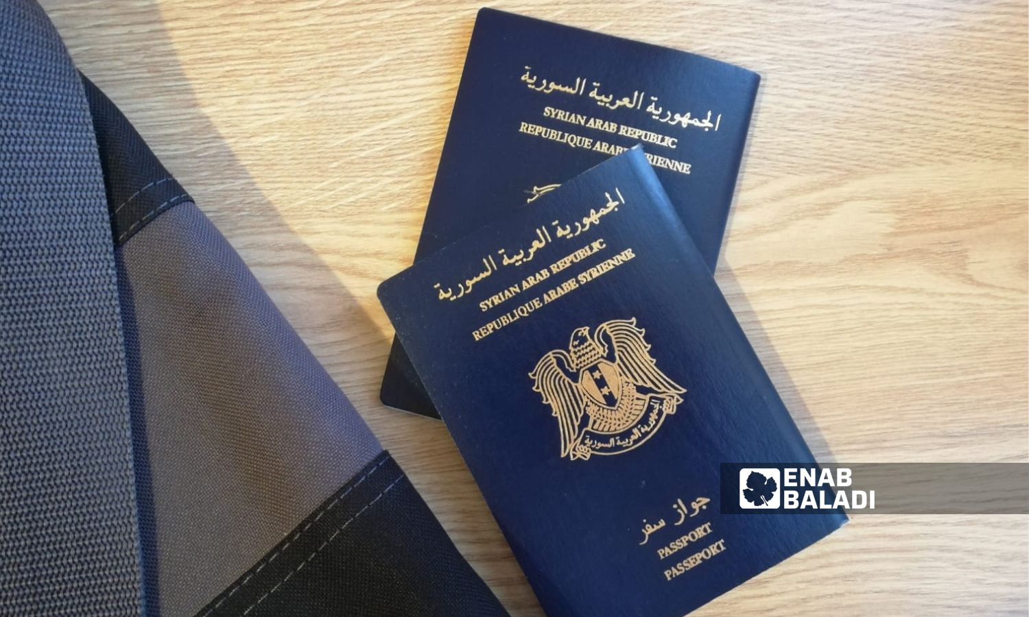 Syrian passport - December 22, 2023 (Enab Baladi)