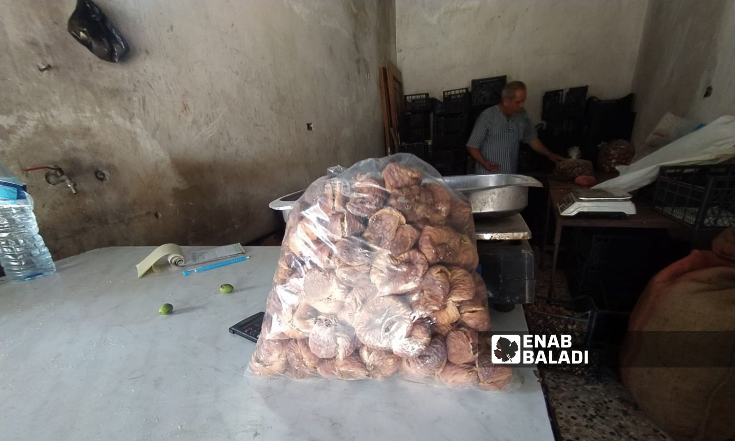 Dried figs in the city of Sarmin, east of Idlib - October 17, 2023 (Enab Baladi/Shams al-Din Matoun)
