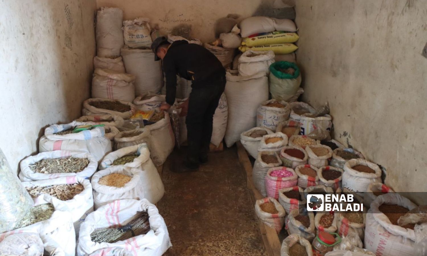 A shop selling herbs used in Arabic medicine in the eastern countryside of Deir Ezzor - January 15, 2024 (Enab Baladi/Obadah al-Sheikh)