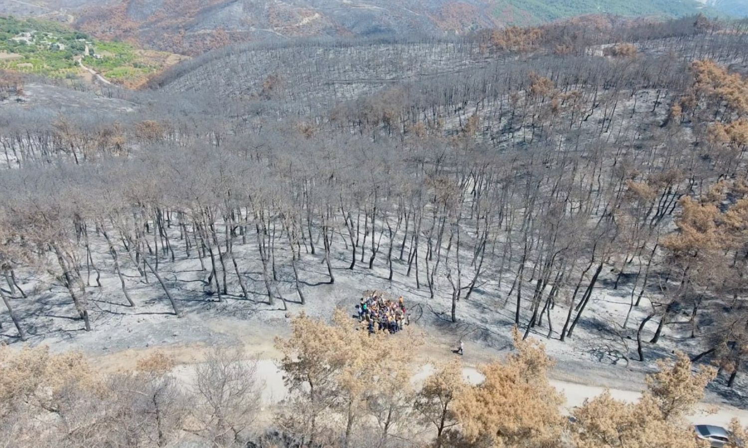From the visit of the Syrian regime president Bashar al-Assad to the forests of the northern countryside of Latakia, which were affected by fires - August 3, 2023 (SANA)