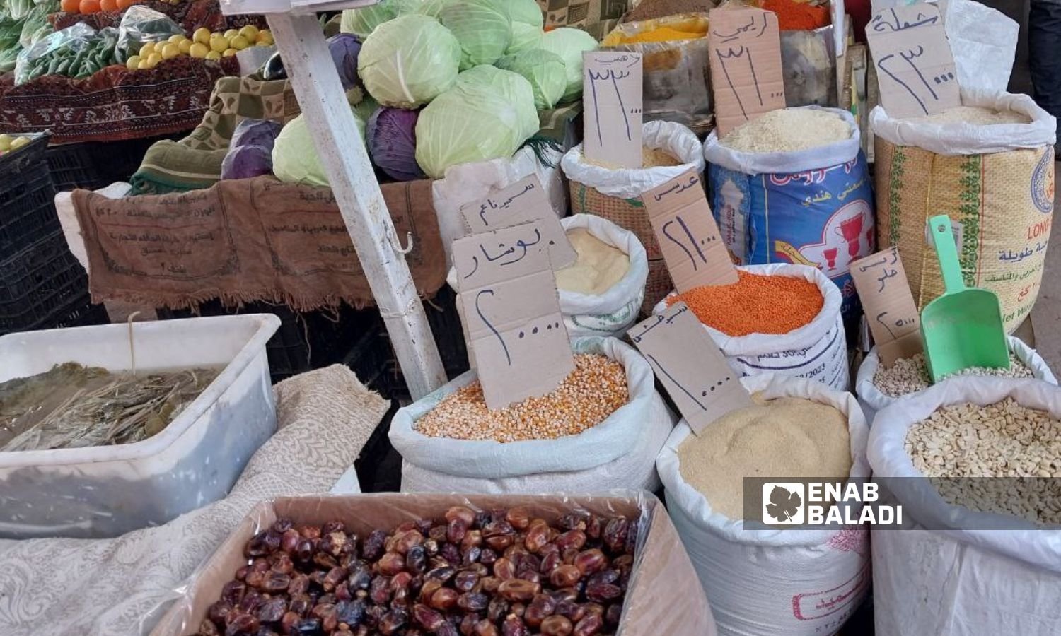 A store selling foodstuffs in al-Jalaa Street in Douma city - January 22, 2024 (Enab Baladi/Sarah al-Ahmad)
