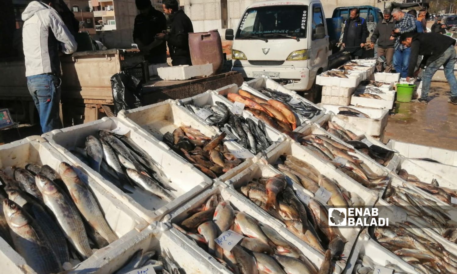 Fish market in the town of Kafr Takharim in northern Idlib countryside – January 6, 2024 (Enab Baladi/Shams al-Din Mutaoun)