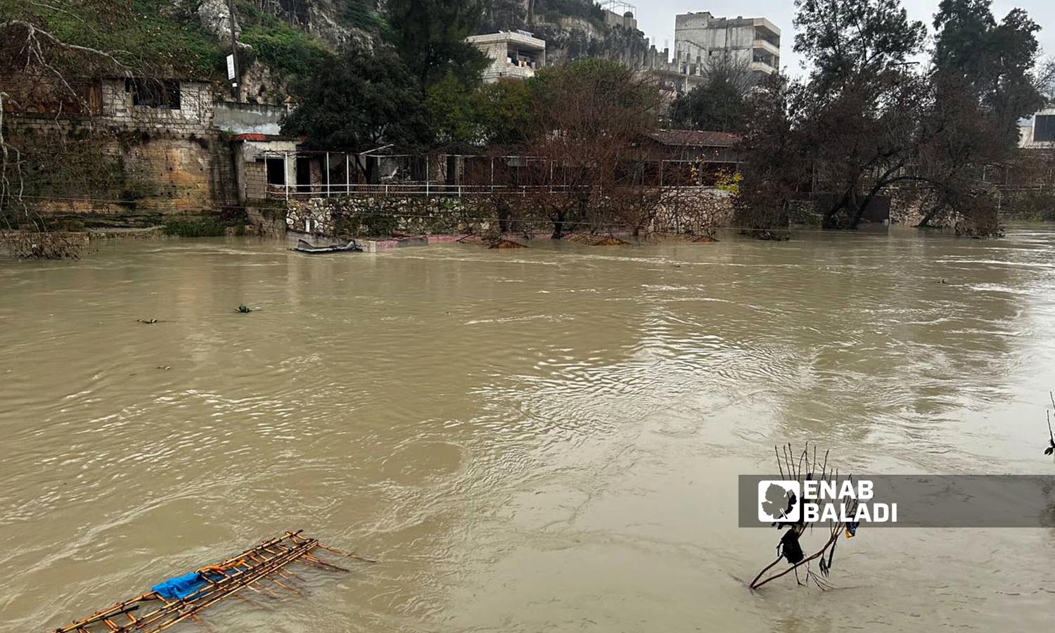 Heavy rains cause flooding of Orontes River in Darkush, Idlib countryside - January 18, 2024 (Enab Baladi/Mohammad Nasan Dabel)
