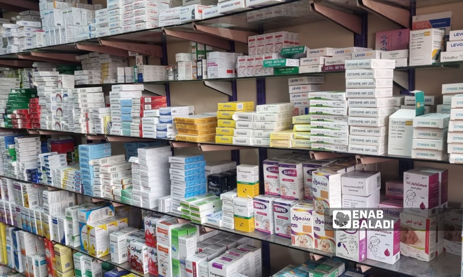 Medications inside a pharmacy in the city of Idlib, northwest Syria - December 25, 2023 (Enab Baladi/Anas al-Khouli)