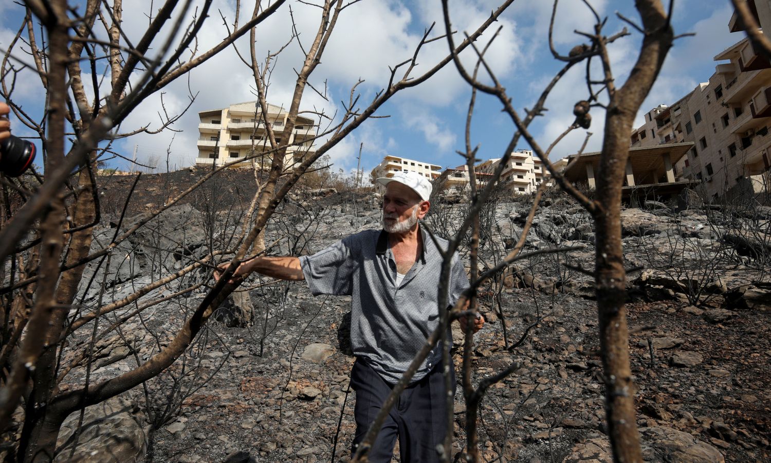 A man leans against a tree after a forest was burned in Tartus governorate (AFP)
