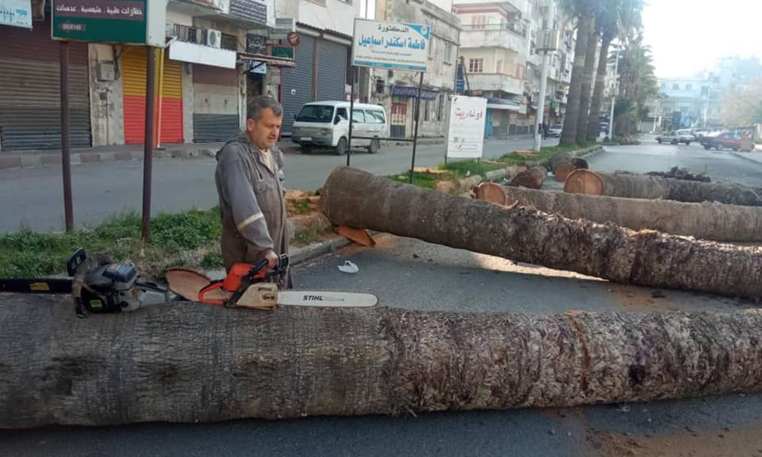 Palm trees logging in Jableh city in Syria’s coastal region - January 2023 (Agricultural Media in Syria/Facebook)