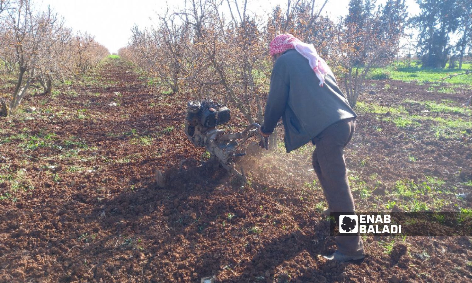 A farmer plows his land in the western countryside of Daraa - March 11, 2023 (Enab Baladi)