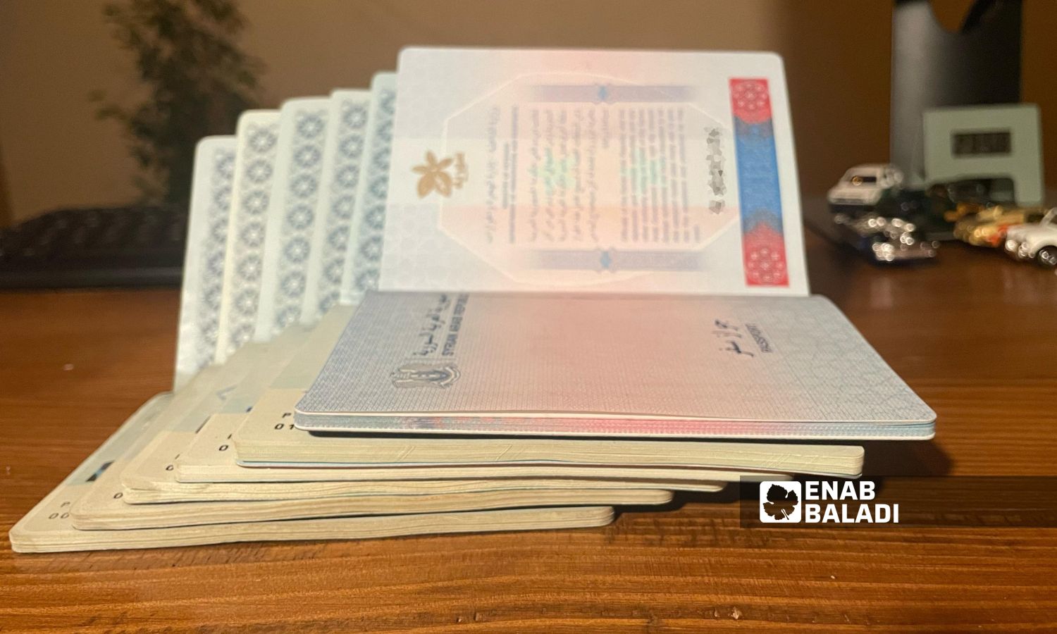 Syrian passports - December 28, 2023 (Enab Baladi)
