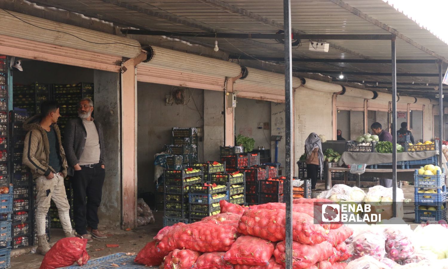 Vegetable prices doubled in al-Hal market in Ras al-Ain, northwestern al-Hasakah - January 5, 2024 (Enab Baladi)