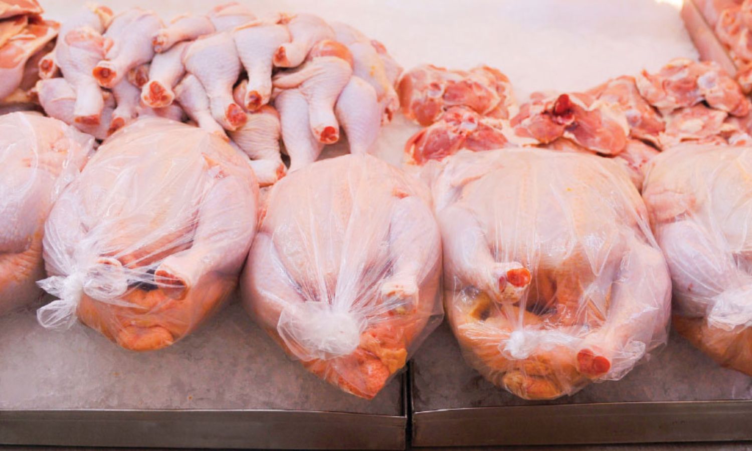 A store selling chicken meat in Syria - December 19, 2023 (Al-Watan)