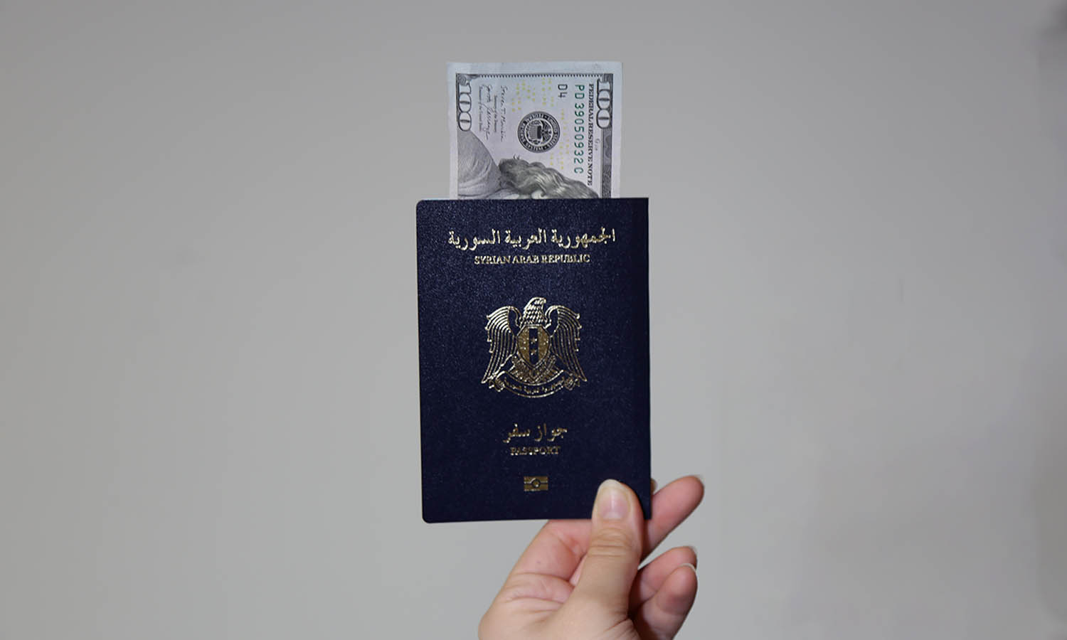 Syrian passport (Enab Baladi)