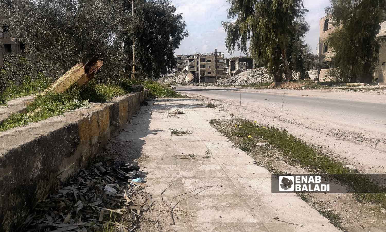 A street in al-Samsam neighbourhood near Harasta municipality - March 5, 2024 (Enab Baladi/Sarah al-Ahmad)
