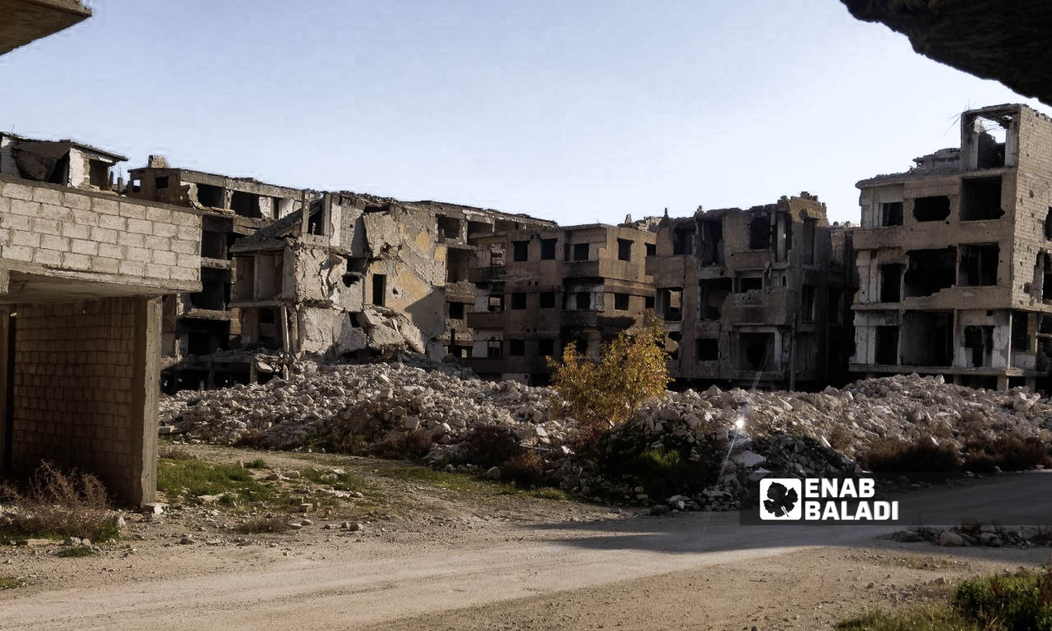 Buildings in the city of Harasta in Eastern Ghouta - March 5, 2024 (Enab Baladi/Sarah al-Ahmad)
