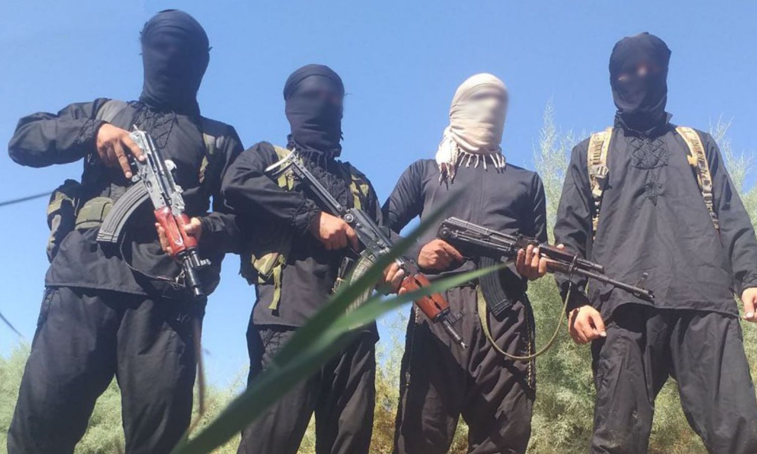 Islamic State militants during their pledge of allegiance to the organization's leader - August 10, 2023 (Islamic State's official identifier on Telegram)