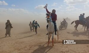 A purebred Arabian horse race in the town of al-Shafa in the eastern countryside of Deir Ezzor - November 20, 2023 (Enab Baladi/Obadah al-Sheikh)