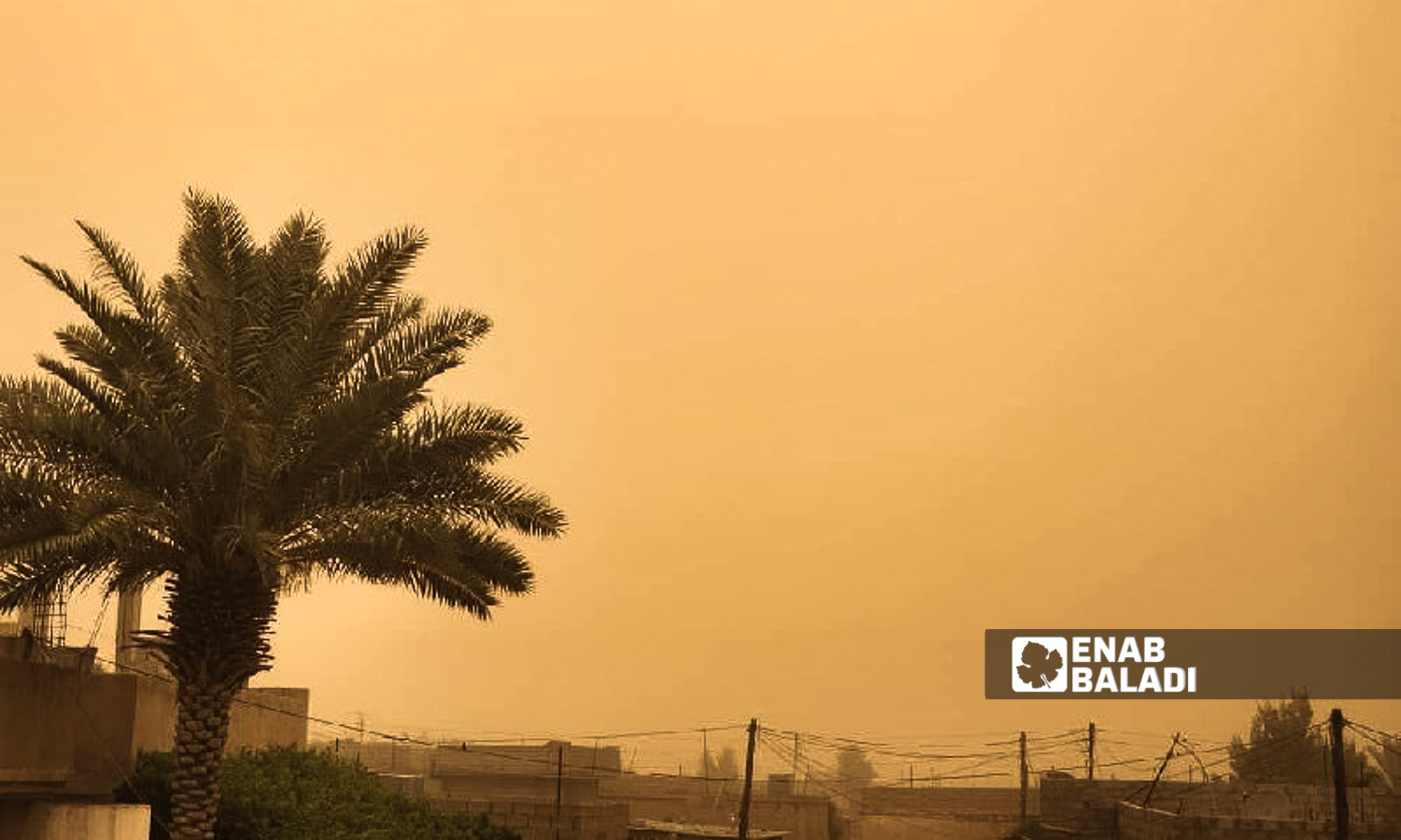Dust storm hits the countryside of Deir Ezzor in eastern Syria - April 29, 2024 (Enab Baladi/Obadah al-Sheikh)