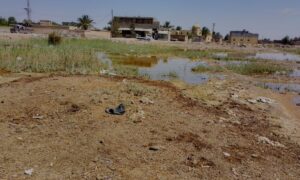 Groundwater reaches the soil surface in the land of the town of al-Shaheel east of Deir Ezzor – April 8, 2024 (Enab Baladi/Obadah al-Sheikh)