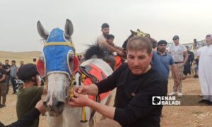 Thoroughbred horse race west of Nassib village in eastern Daraa countryside - May 10, 2024 (Enab Baladi)