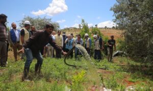 The UNICEF and SCHF-funded sewage treatment project, implemented by IHR and Binaa for Development in Idlib - May 14, 2024 (CHA/Mohanad Zayat)