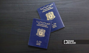 Syrian passports (Enab Baladi)