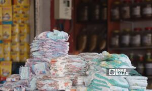High prices for children’s diapers in Ras al-Ain, northwest of al-Hasakah, April 16, 2024 (Enab Baladi)