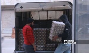 Egg prices are unstable in Idlib, northwestern Syria – December 2023 (Enab Baladi/Anas al-Khouli)