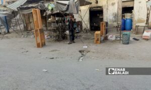 Owners of poultry farms suffer from lack of attention and support in eastern Deir Ezzor - Hwairan 2024 (Enab Baladi/Obadah al-Sheikh)