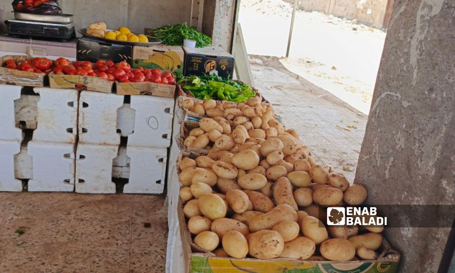 A vegetable store in the town of Muzayrib in western Daraa countryside - May 29, 2024 (Enab Baladi/Halim Muhammad)