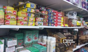Goods and products in a Syrian grocery store - 2024 (Enab Baladi)