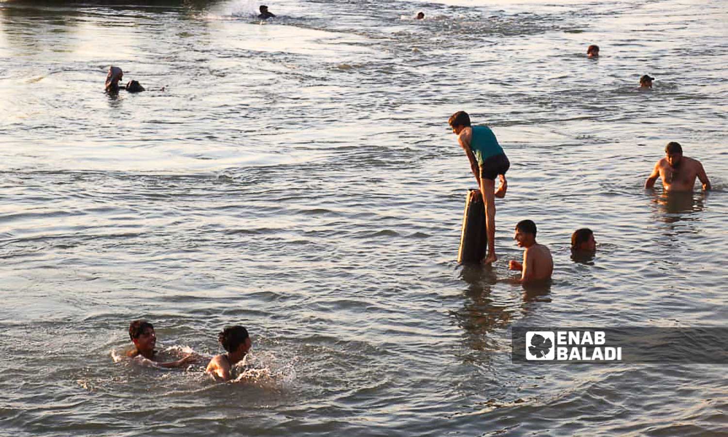 Young men swim in the Euphrates River in the countryside of Deir Ezzor, eastern Syria - July 20, 2024 (Enab Baladi/Obadah al-Sheikh)
