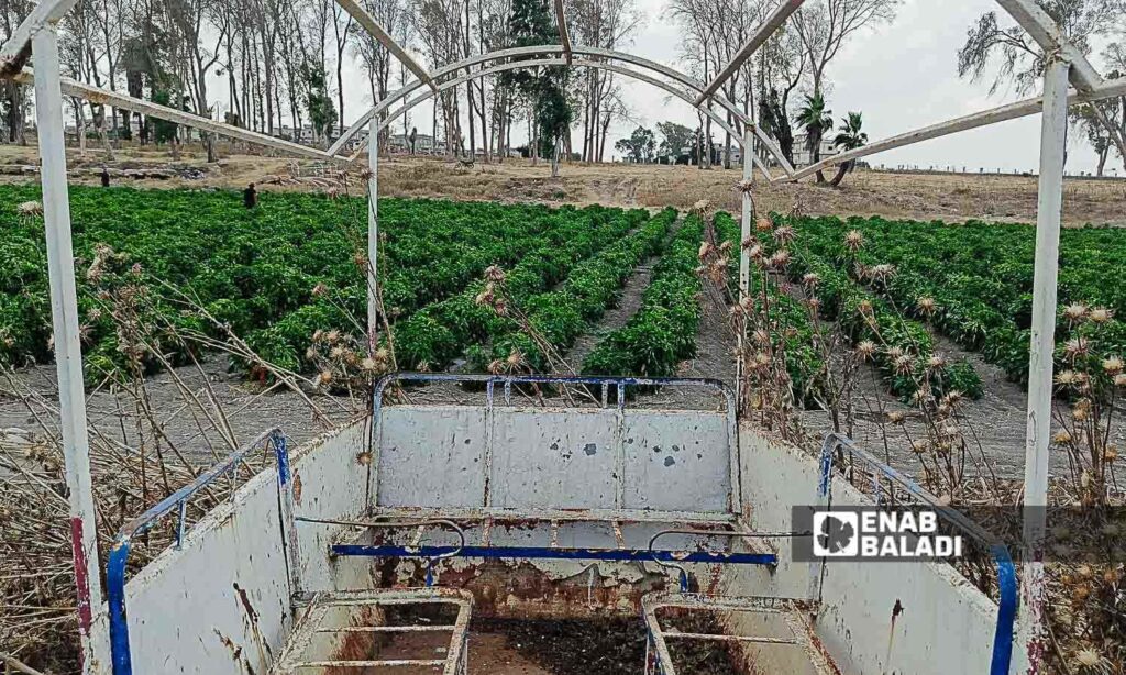 Lake Muzayrib in the western countryside of Daraa turned into agricultural land - July 14, 2024 (Enab Baladi/Halim Muhammad)