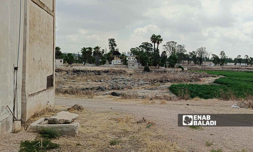 The impacts of the drying up of Lake Muzayrib in Daraa, western Syria - July 14, 2024 (Enab Baladi/Halim Muhammad)