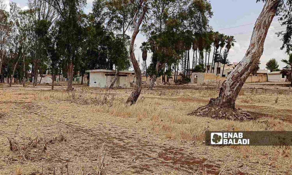 The impacts of the drying up of Lake Muzayrib in Daraa, western Syria - July 14, 2024 (Enab Baladi/Halim Muhammad)