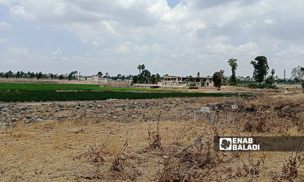 Lake Muzayrib in the western countryside of Daraa turned into agricultural land - July 14, 2024 (Enab Baladi/Halim Muhammad)