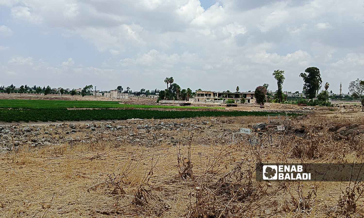 Lake Muzayrib in the western countryside of Daraa turned into agricultural land - July 14, 2024 (Enab Baladi/Halim Muhammad)
