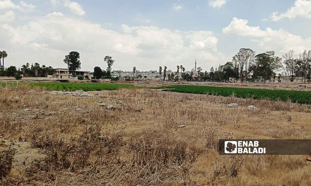 Lake Muzayrib in the western countryside of Daraa turned into agricultural land - July 14, 2024 (Enab Baladi/Halim Muhammad)