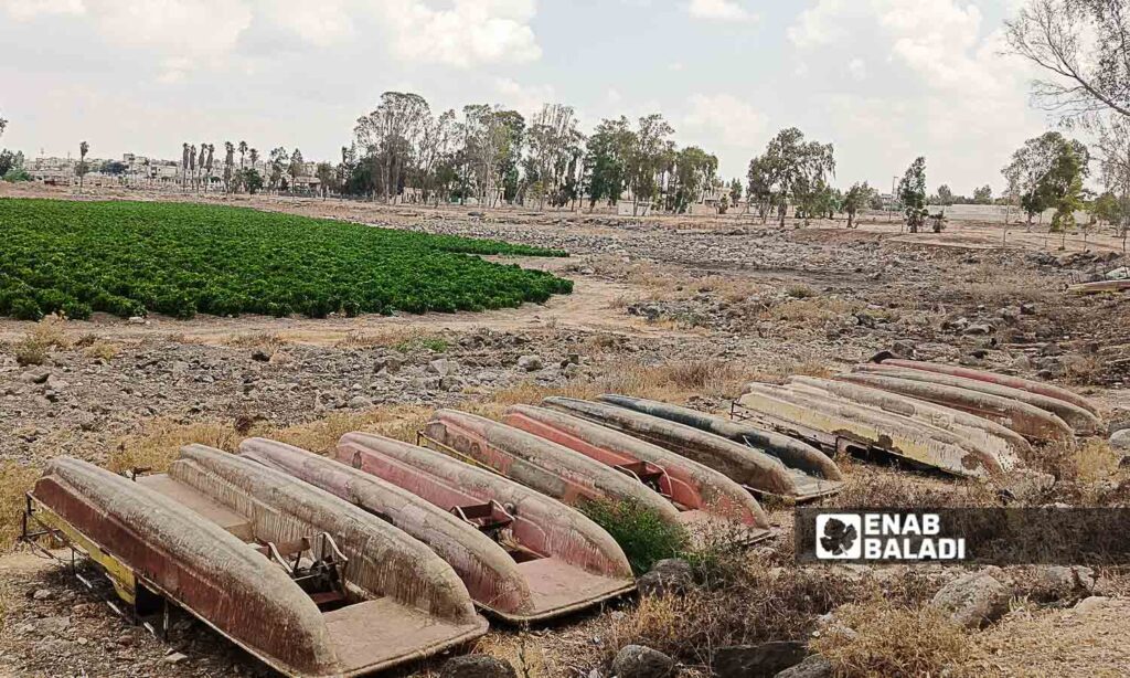 Lake Muzayrib in the western countryside of Daraa turned into agricultural land - July 14, 2024 (Enab Baladi/Halim Muhammad)